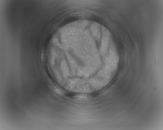 X0000074210137200609221951