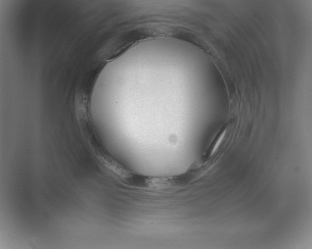 X0000074210141200609221951