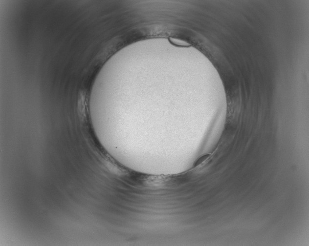 X0000074210142200609221951