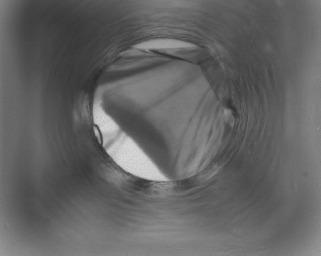 X0000074210143200609221951