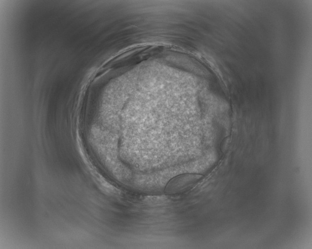 X0000074210145200609221950