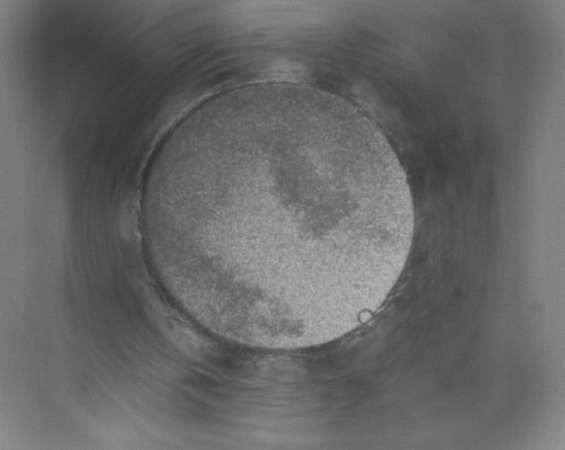 X0000074210146200609221950