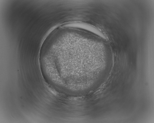 X0000074210147200609221950