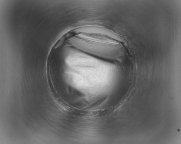 X0000074210148200609221950