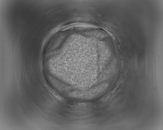 X0000074210149200609221950