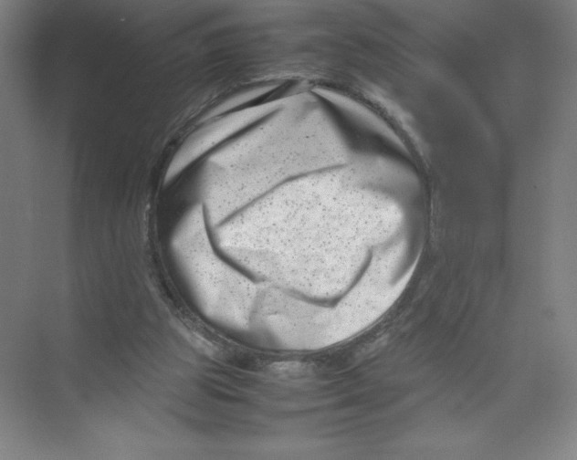 X0000074210153200609221950