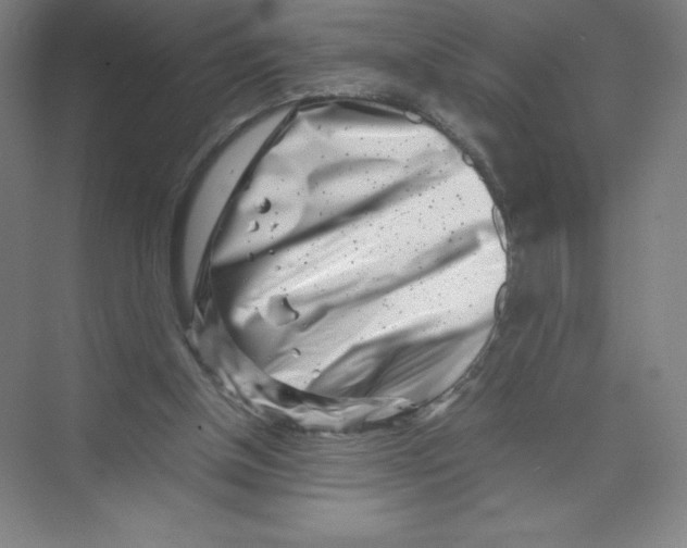 X0000074210154200609221950