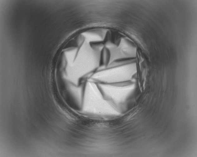 X0000074210156200609221950