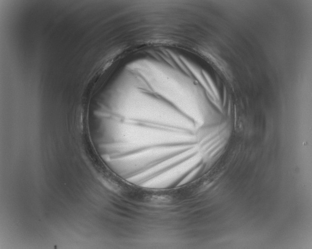 X0000074210157200609221950