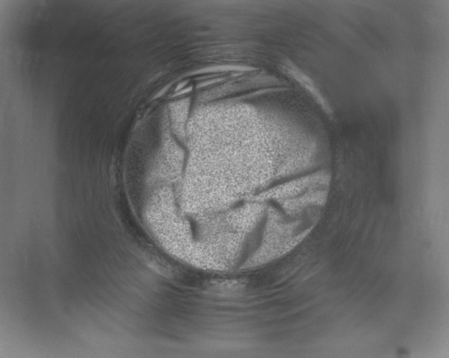 X0000074210161200609221950