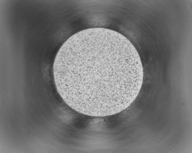 X0000074210162200609221950