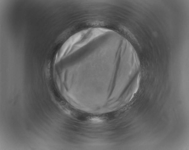 X0000074210163200609221950