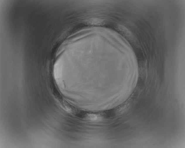 X0000074210167200609221951