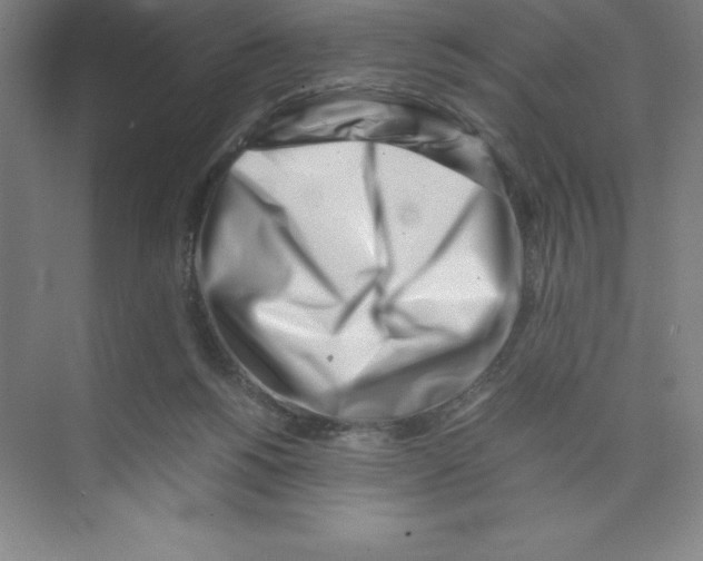 X0000074210168200609221951