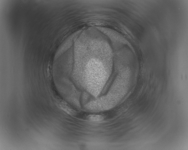 X0000074210169200609221951