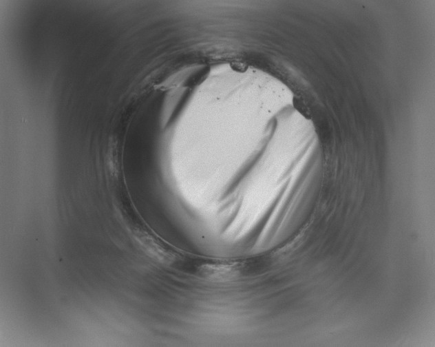 X0000074210170200609221951