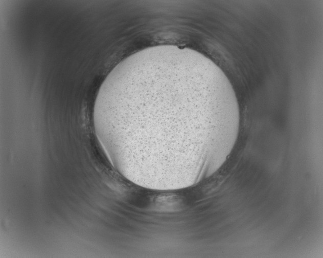 X0000074210173200609221951