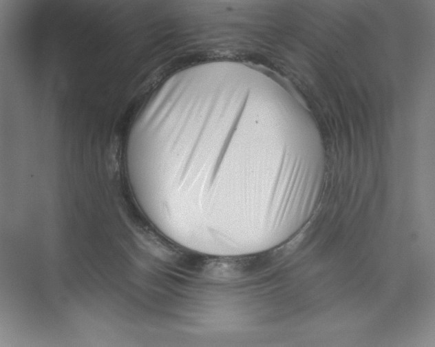 X0000074210174200609221951