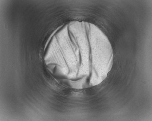 X0000074210175200609221951