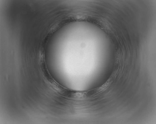 X0000074210176200609221951