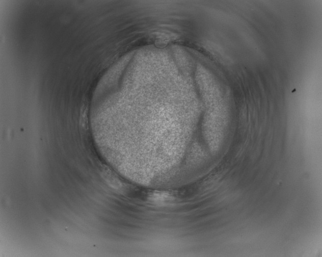 X0000074210177200609221951