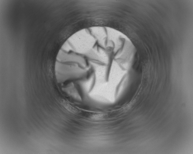 X0000074210178200609221951