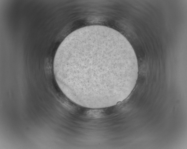 X0000074210179200609221951