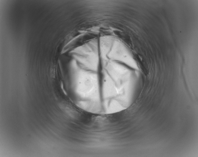 X0000074210180200609221951