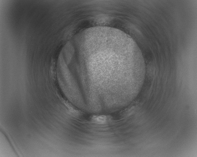 X0000074210181200609221951