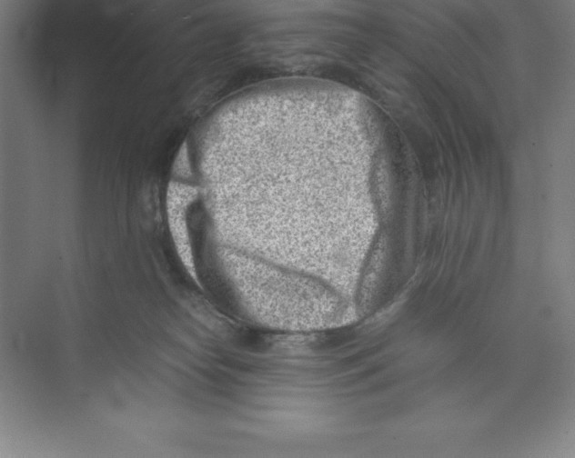 X0000074210182200609221951