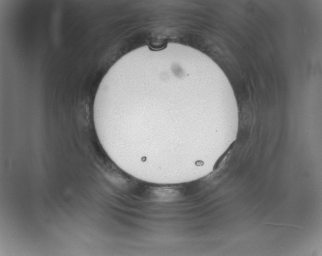 X0000074210183200609221951