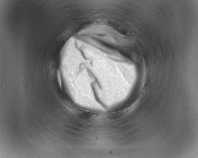 X0000074210186200609221951