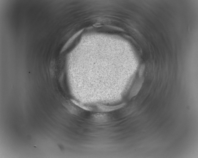 X0000074210189200609221951