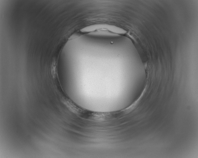 X0000074210190200609221951