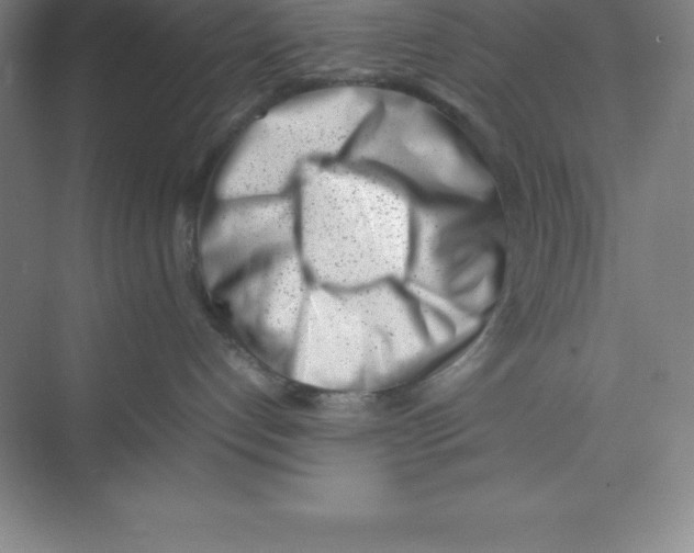 X0000074210192200609221951