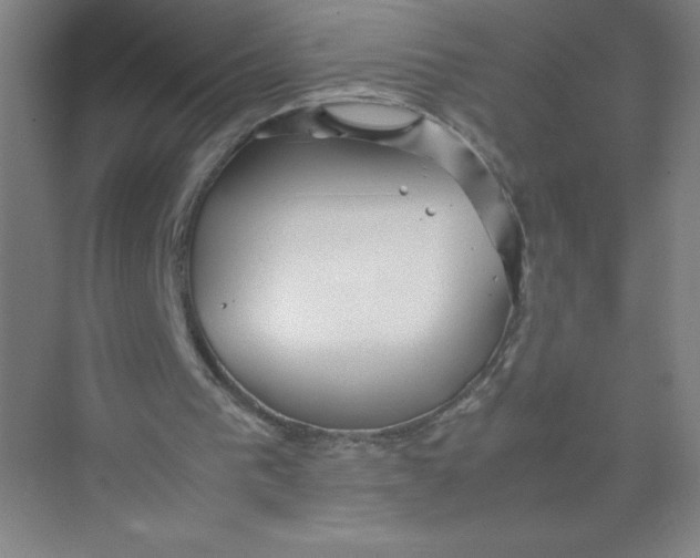 X0000074210193200609221950