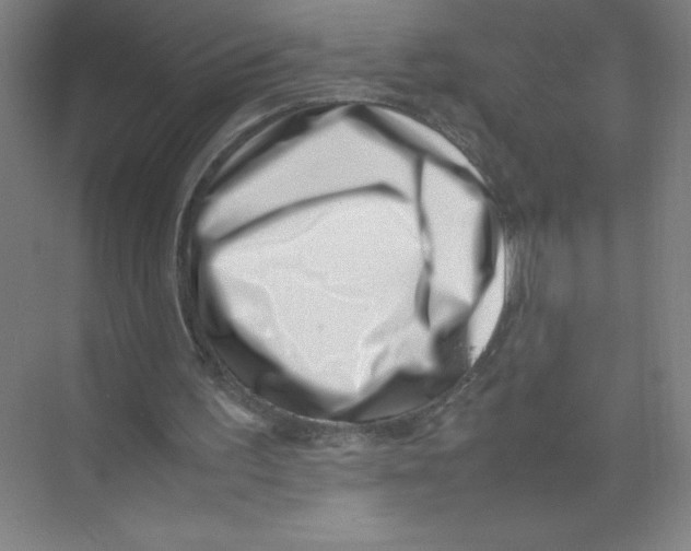 X0000074210195200609221950