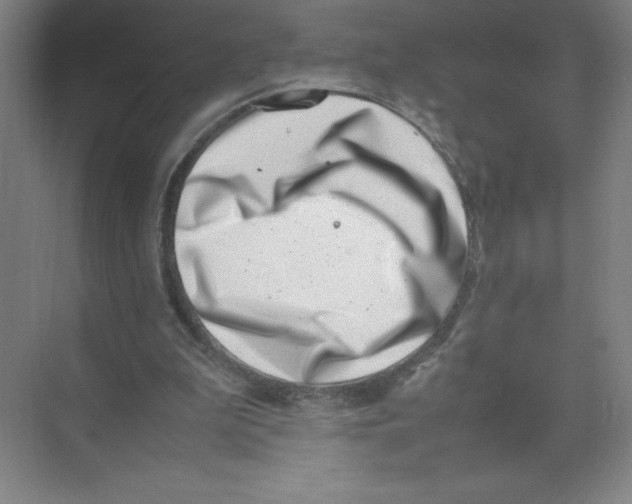 X0000074210199200609221950