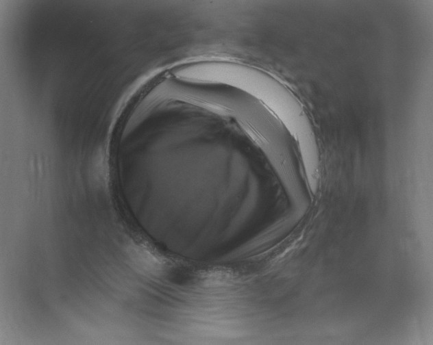 X0000074210200200609221950