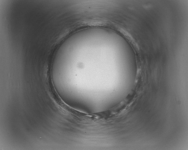 X0000074210201200609221950