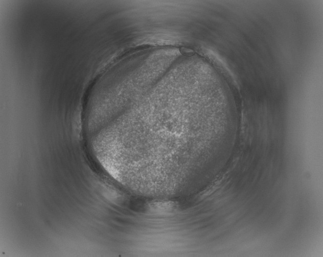 X0000074210202200609221950