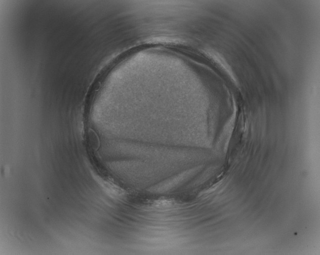 X0000074210204200609221950