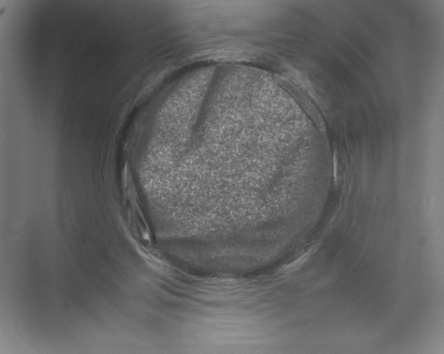 X0000074210205200609221950