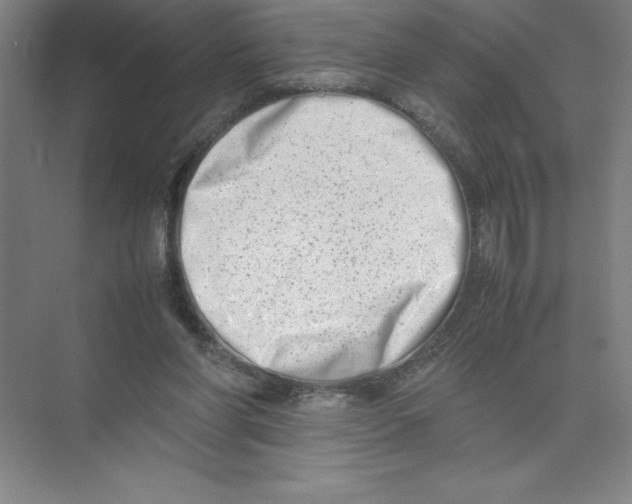 X0000074210206200609221950