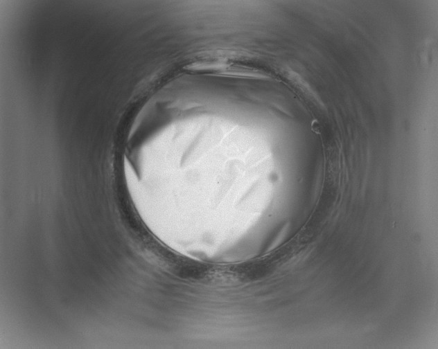 X0000074210207200609221950