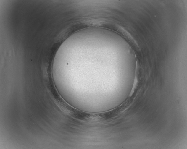 X0000074210209200609221950