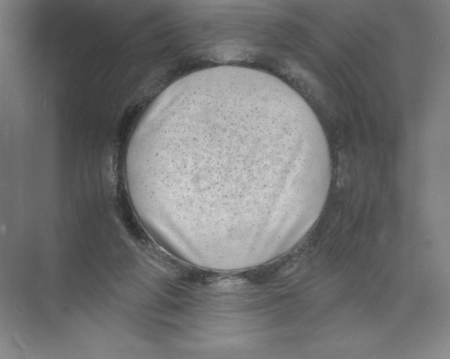 X0000074210210200609221950