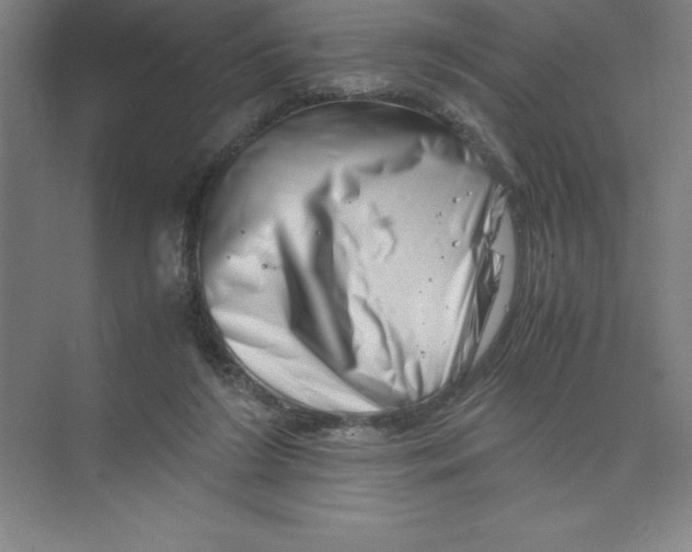 X0000074210212200609221950