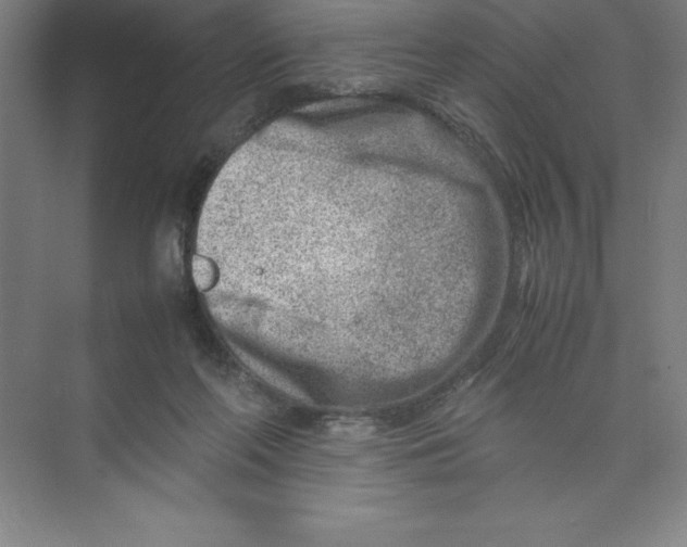 X0000074210214200609221950