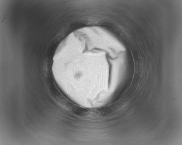 X0000074210215200609221950